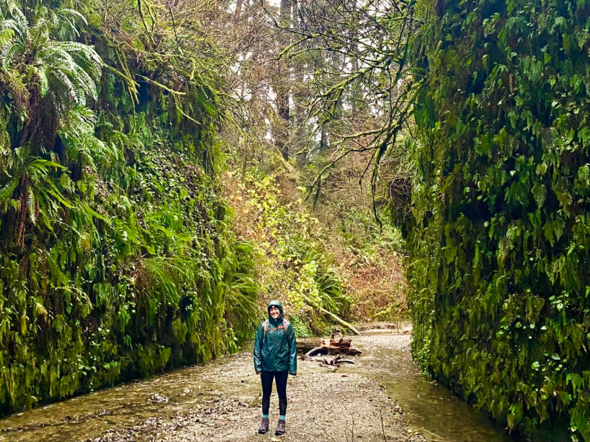 The author Laura, standing in the middle of tall trees at Fern Canyon on a rainy day