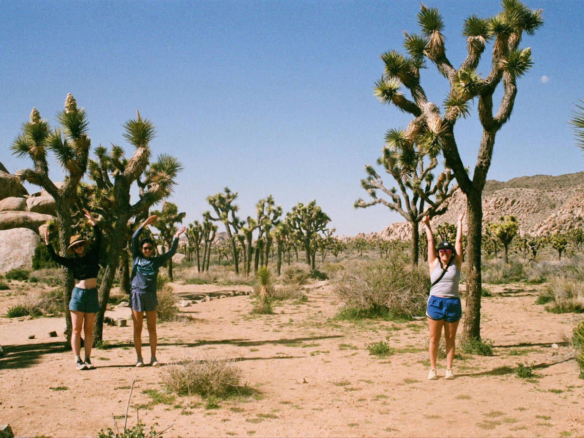 Travel Lemming writer, Laura McFarland posing for a photo at the Joshua Tree National Park