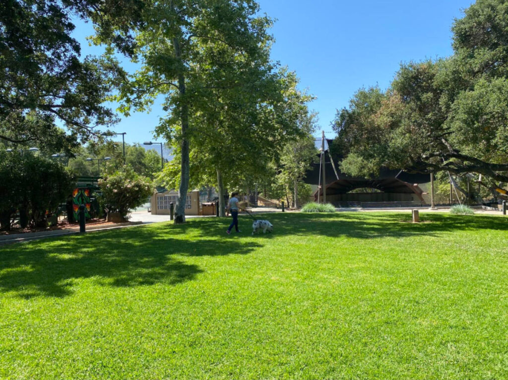 A woman walking her dog at Libbey Park