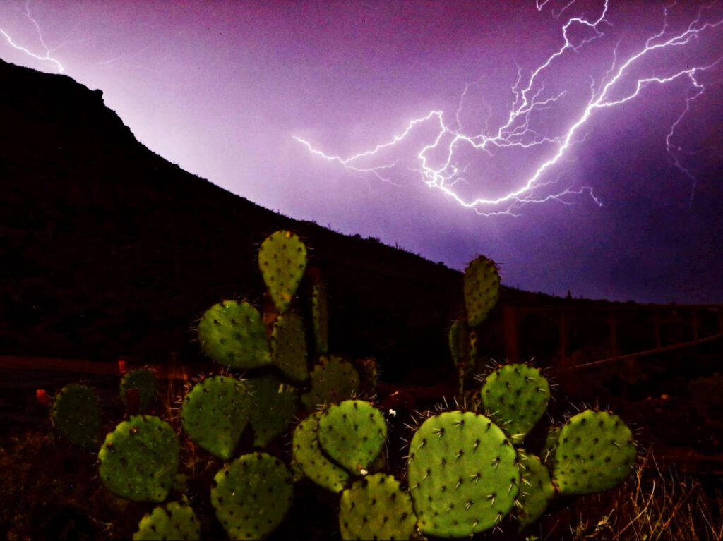 View of the lightning streaks over the Saguaro National Park