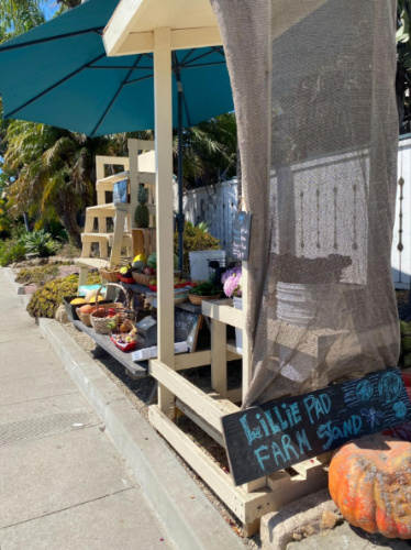 View of the Lillie pad farm stand