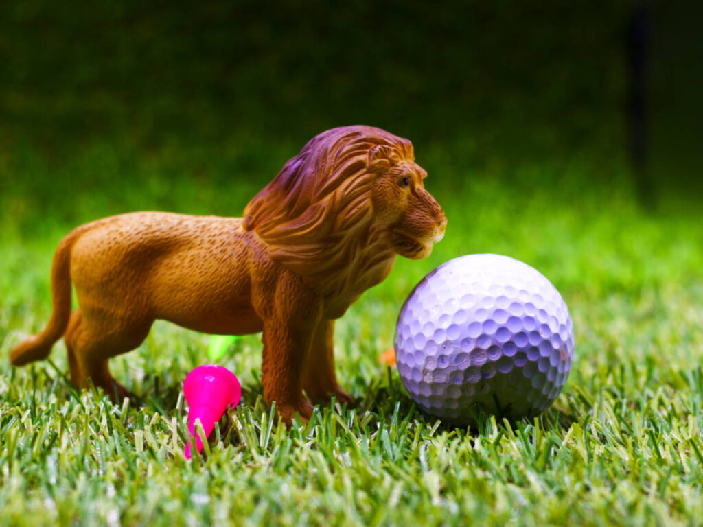 A closeup look of a lion toy beside a golf ball on the green grass