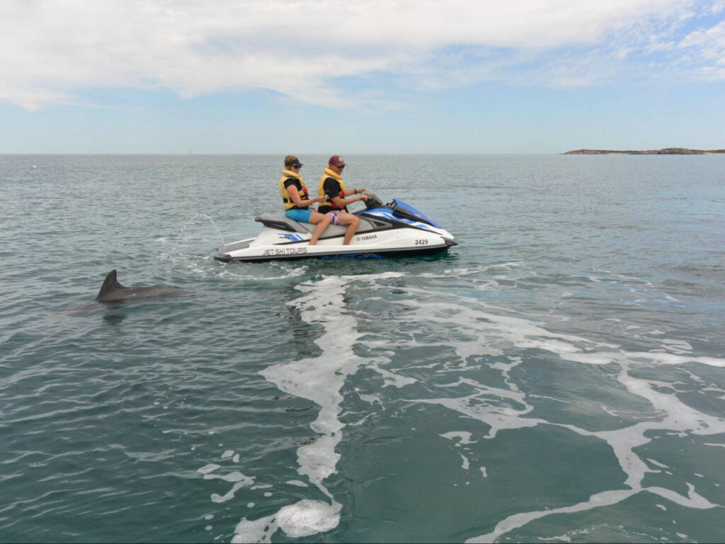 The author Lisa Ikin and her partner, riding the jet ski and a dolphin swimming around