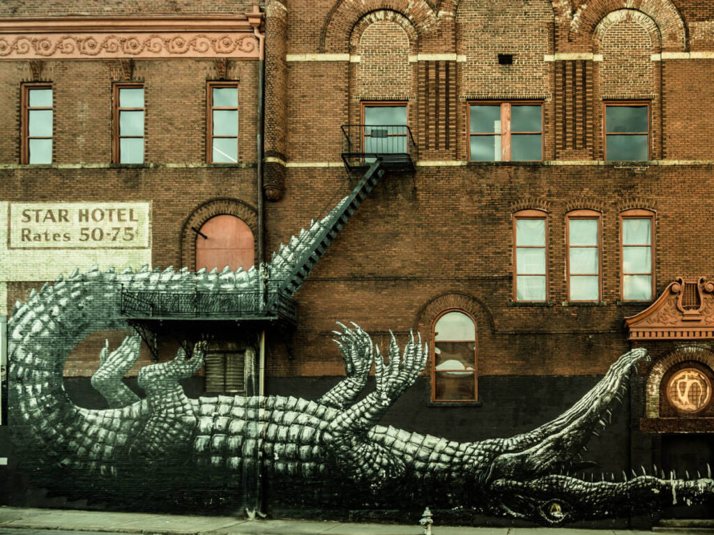 Mural of an upside down Alligator on the wall in Mitchell Street