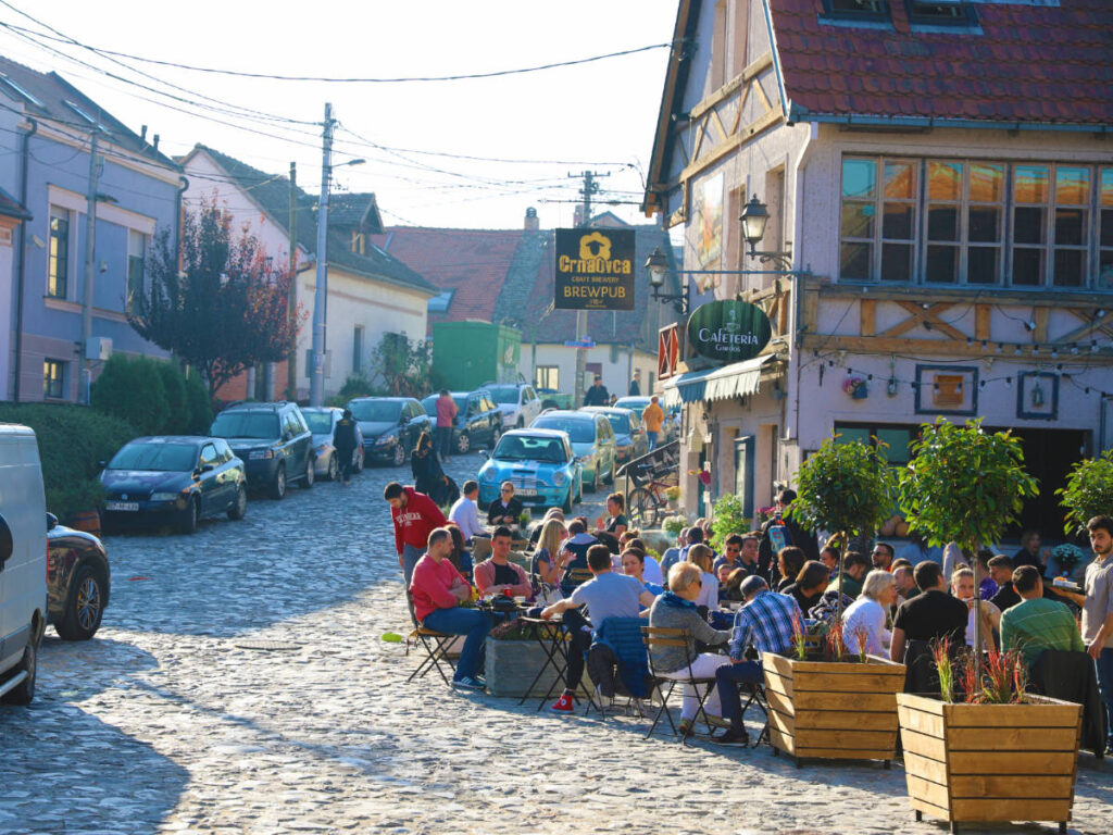 People enjoying their day on an old local pub in Zemun