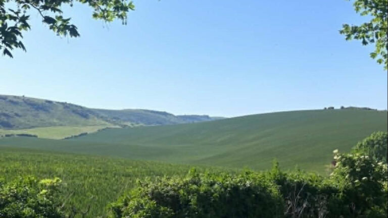 Panoramic mountain views with clear blue skies