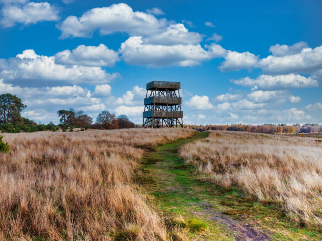 The lookout tower seen from the field in Nationaal Park Drents-Friese Wold