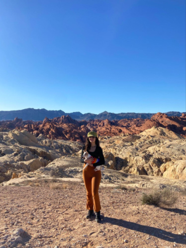 Author McKenna Mobley and her dog stands at a Lookout point at Valley of Fire State Park