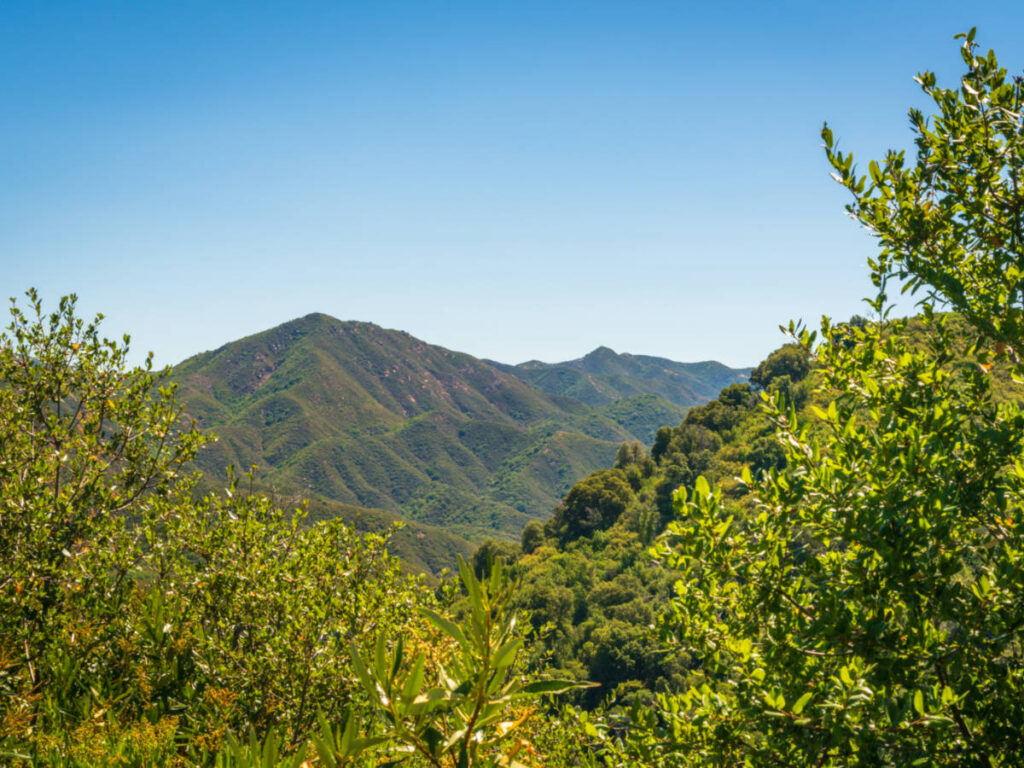 Blue sky above the picturesque Los Padres National Forest