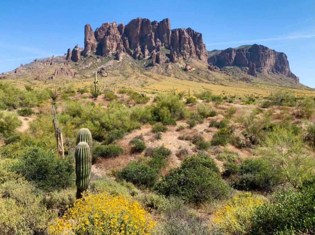 Clear blue sky over the Lost Dutchman State Park