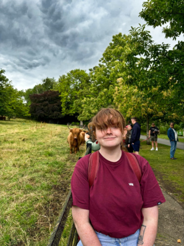 The author Louise taking a photo with a highland calf in the background