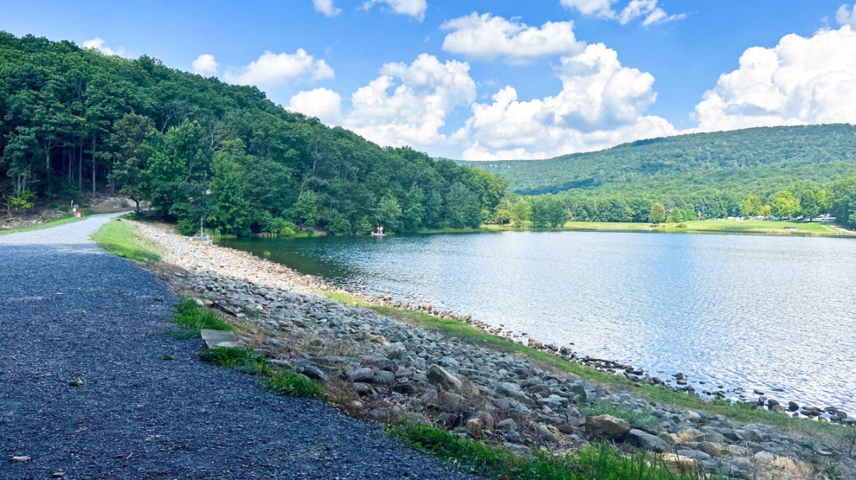 View of the lake surrounded by lush greenery in Greenbrier State Park