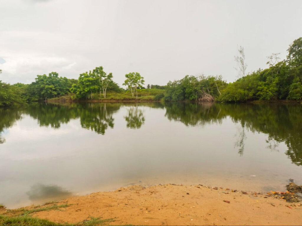 A serene lake at Madre Vieja Nature Reserve