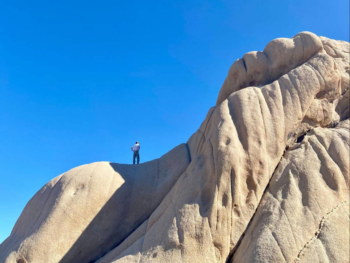 A man climbing on the Jumbo Rocks
