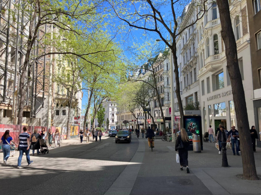 View of people at the Mariahilfer Straße