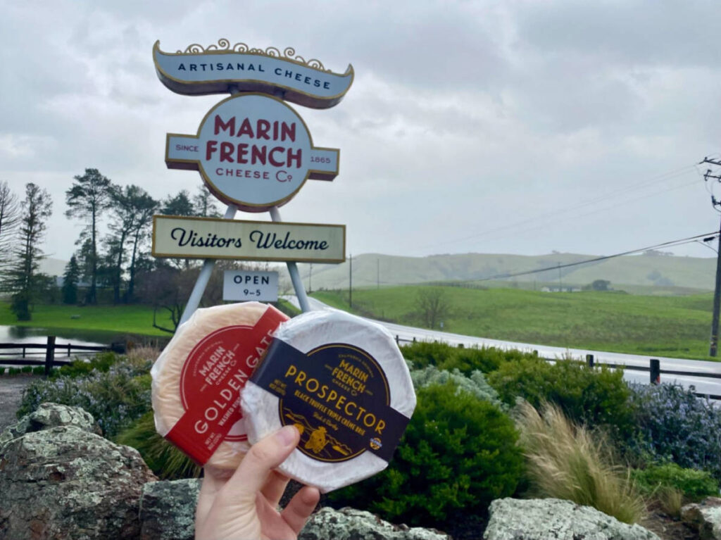Two variety of cheese from the at the Marin French Cheese Company in Northern California