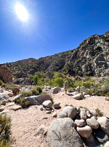 The author McKenna Mobley, admiring the view on her hike to Deep Creek Hot Springs on a sunny day