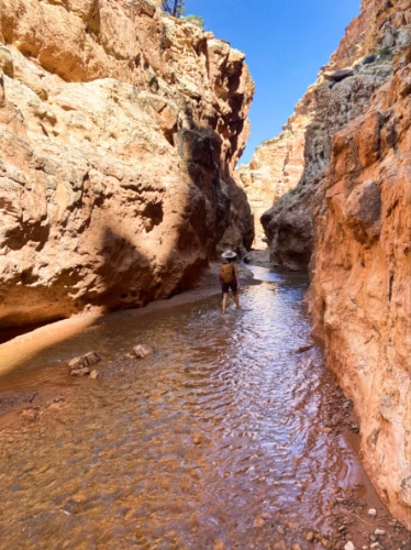 The author McKenna Mobley walking along the Sulphur Creek trail in Capitol Reef National Park