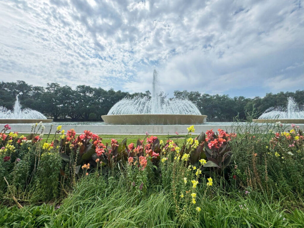 Colorful flowers in front of the Mecom Fountain