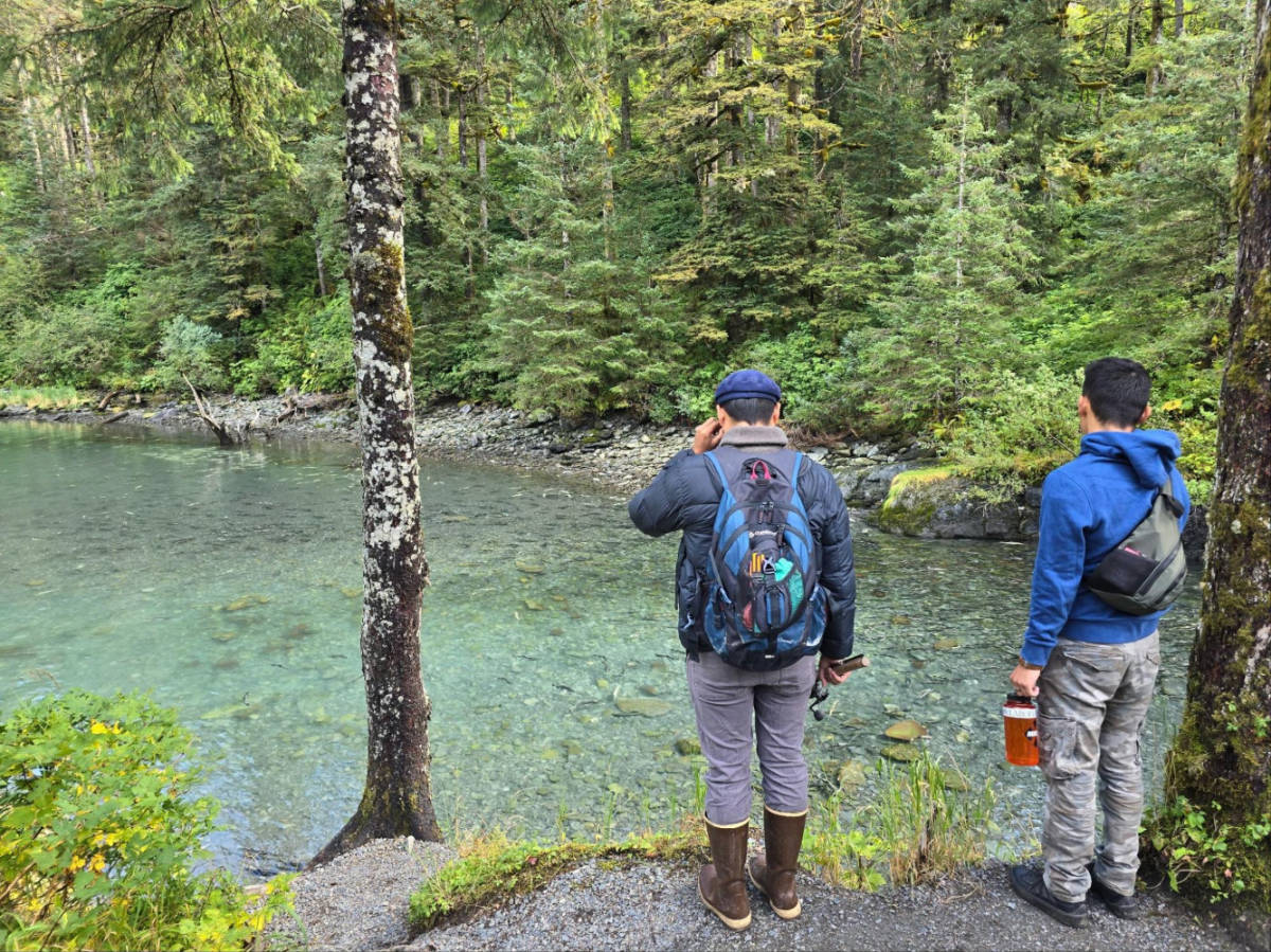Men overlooking the Crystal waters, emerald forest, and silvery salmon in Kenai Peninsula