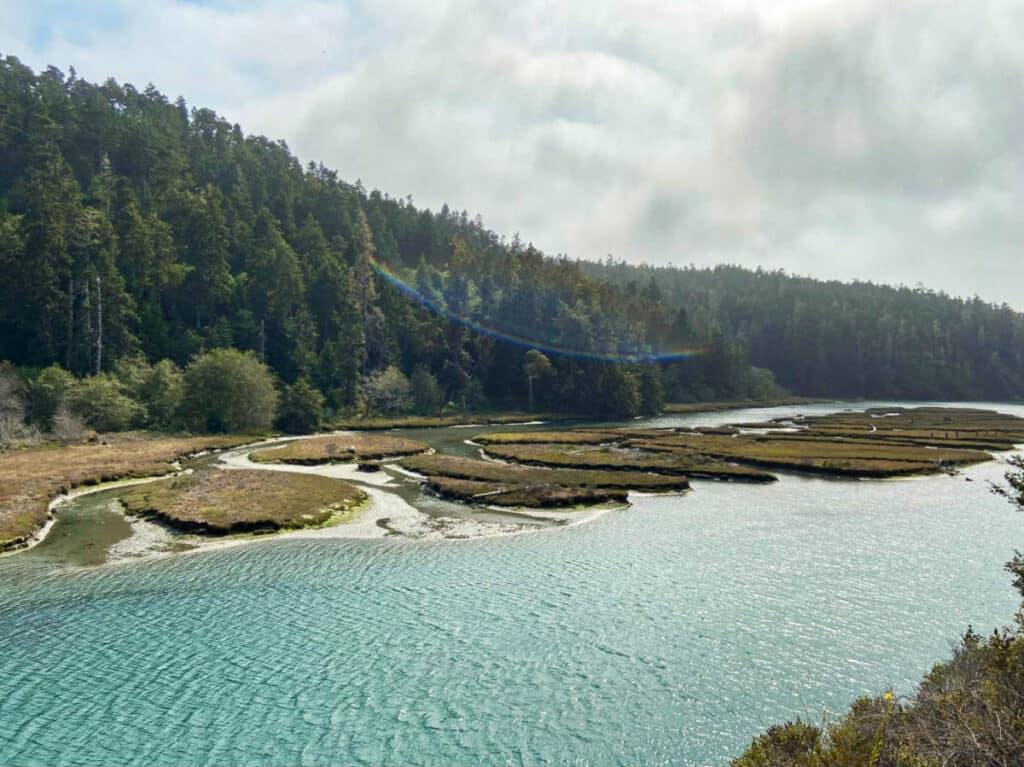 Scenic view of the greenery around the Mendocino’s Big River