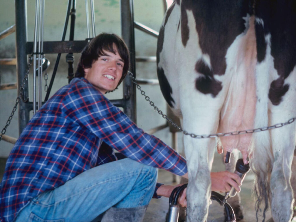 Author's dad milking a cow at the dairy farm