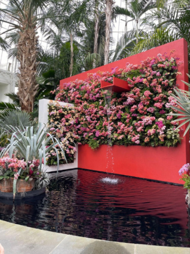 The vibrant flower wall on the mini indoor pond in New York Botanical Garden greenhouse