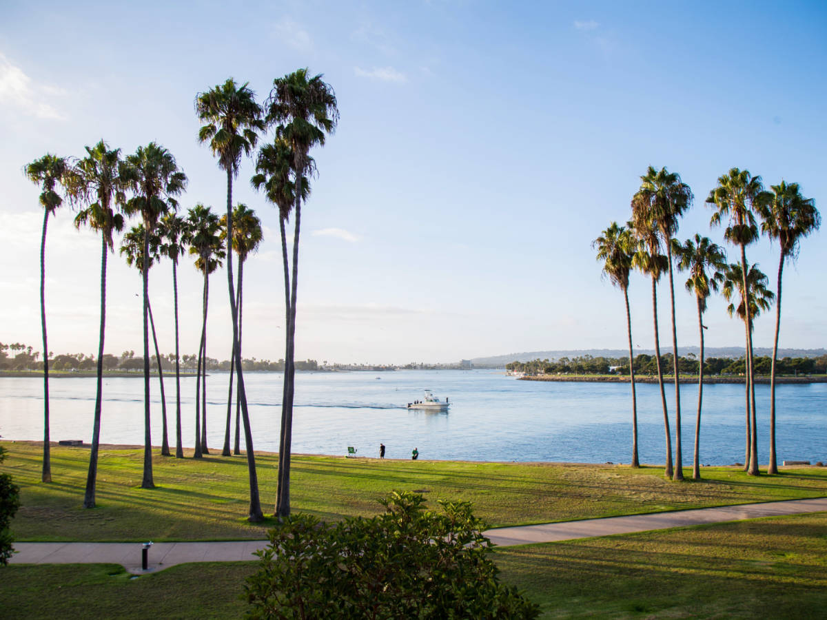 Relaxing view during a sunny morning at the Mission Bay