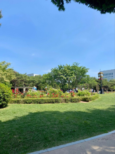 View of the greenery around the Montmartre Park on a sunny day