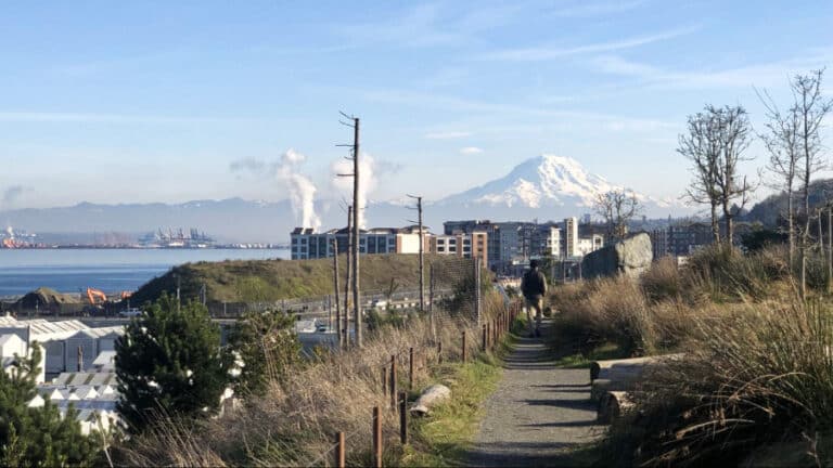 View of Mount Rainier from Point Defiance Park on a sunny day