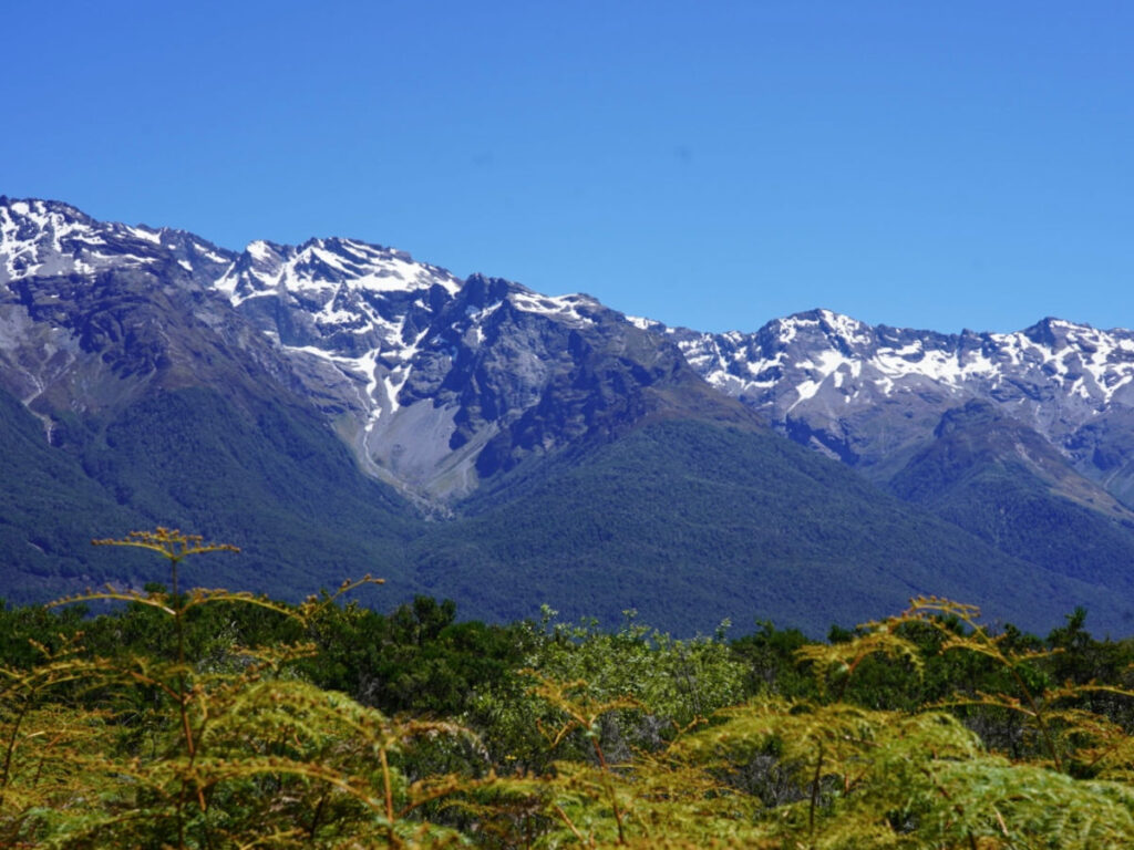 A scenic view of mountains rising above a green forest area in Queenstown