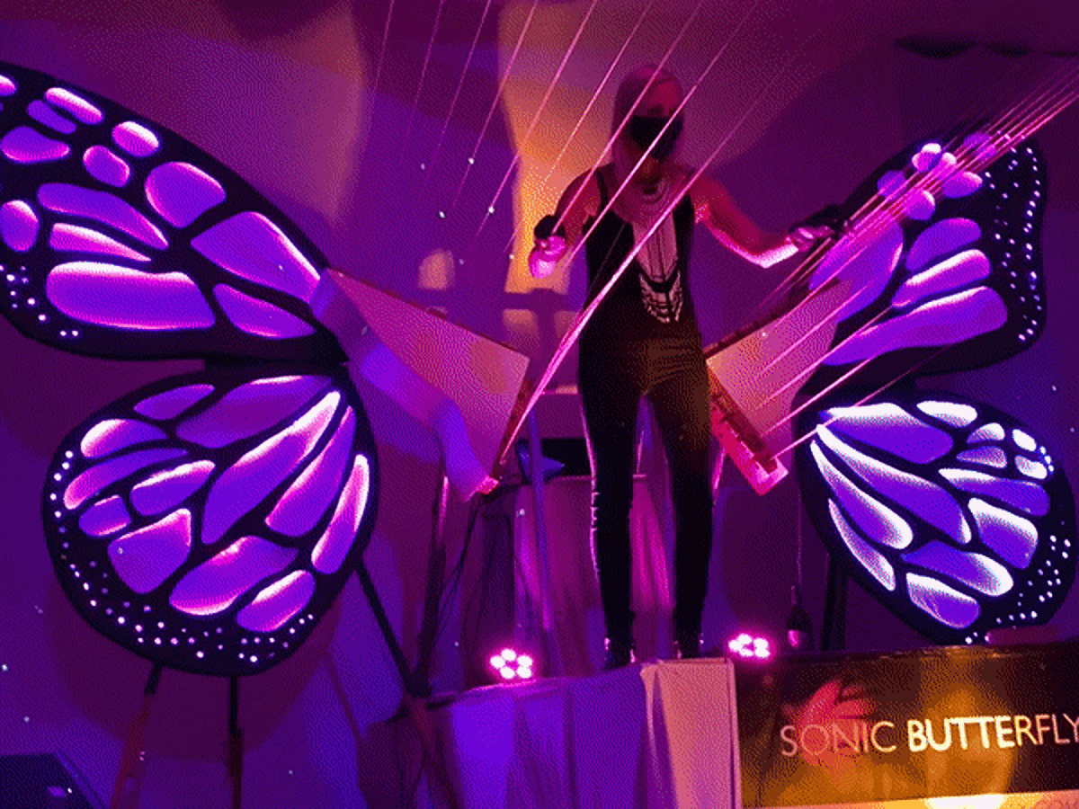 A performance on the Musical Cocoon at Sonic Butterfly