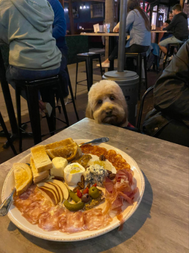A dog sitting on a table next to a charcuterie board