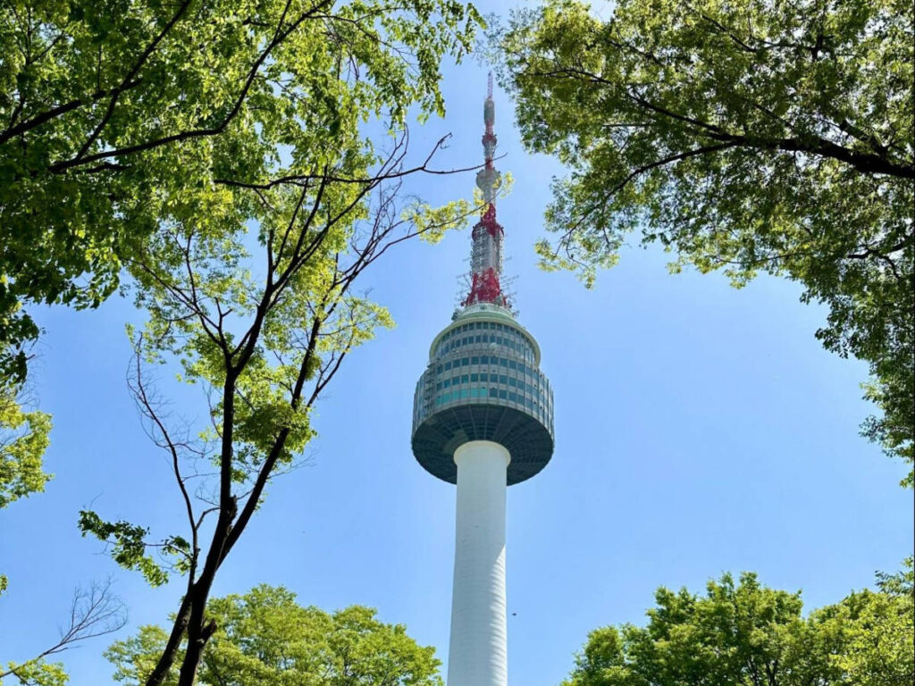 View of the N-Seoul Tower peaking behind the trees