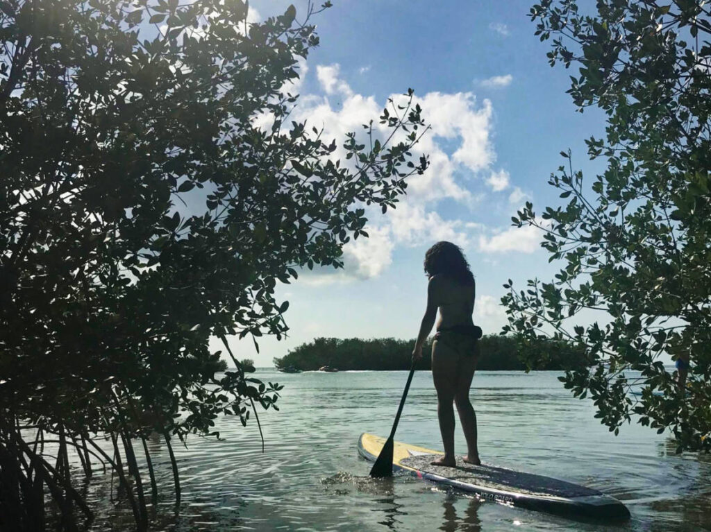 The author Natalie Becerra paddleboarding through a mangrove forest in Islamorada