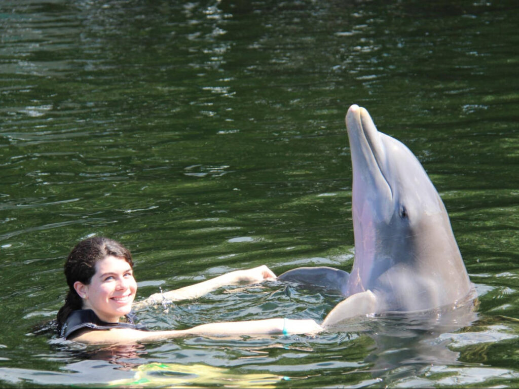 The author Natalie Becerra swimming with the dolphin