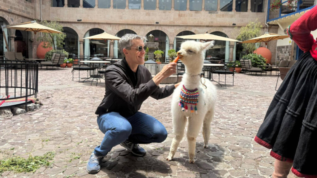 The author Nate Hake, feeding a carrot to an alpaca in Palacio del Inka