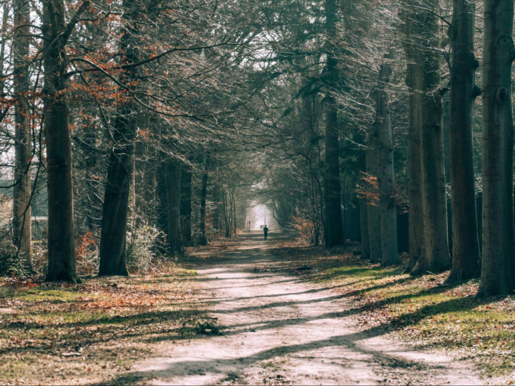A man walking along the sandy path of Nationaal Park Loonse & Drunense Duinen in Winter