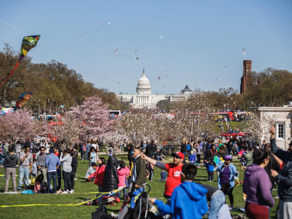People enjoying their day during the National Cherry Blossom Festival