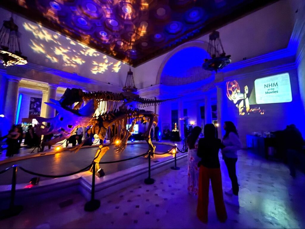 A late-night event in the Natural History Museum main hall