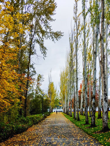 View of a path walk in Newcastle Beach Park