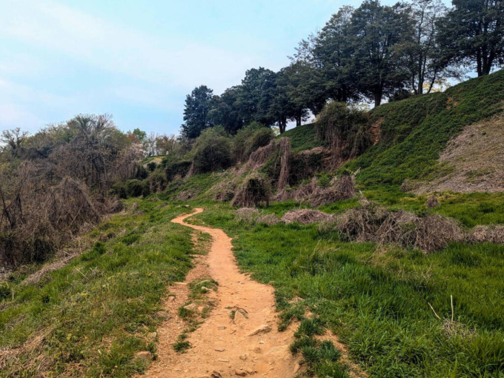 View of the North Bank Trail surrounded by greenery