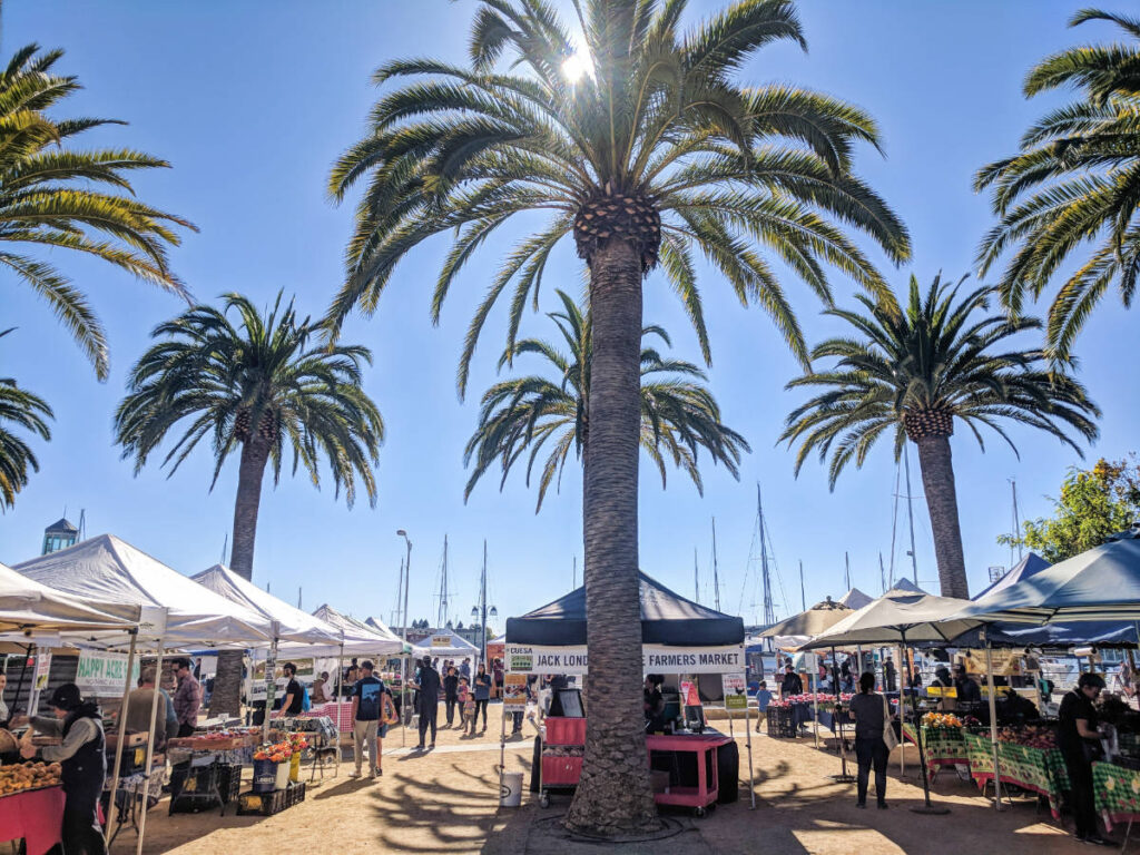 Clear blue sky during a sunny day over Oakland farmers markets