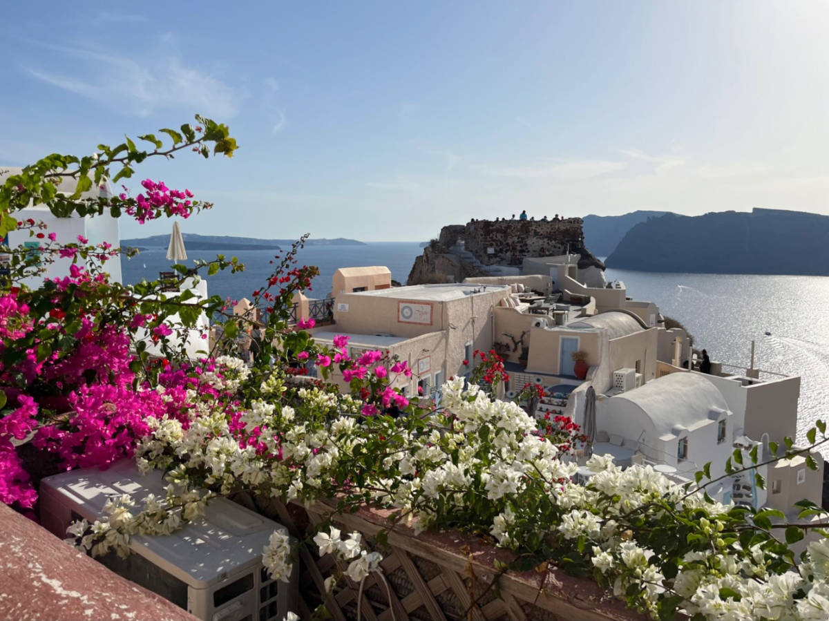 Overlooking view of the the Oia’s Castle behind the vibrant blooming flowers