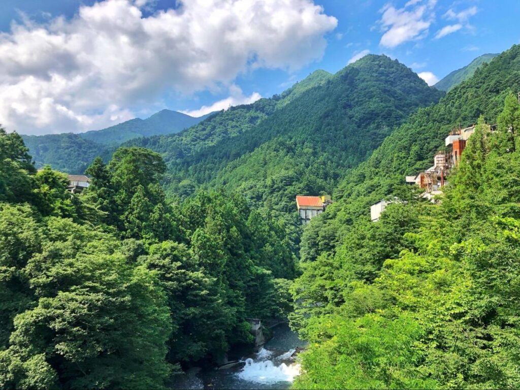 Green sceneries at Okutama