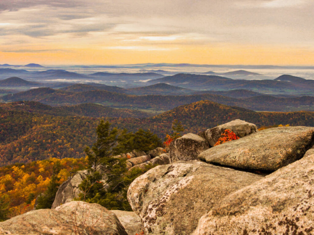 Majestic view of the fall foliage from the Old Rag Mountain summit