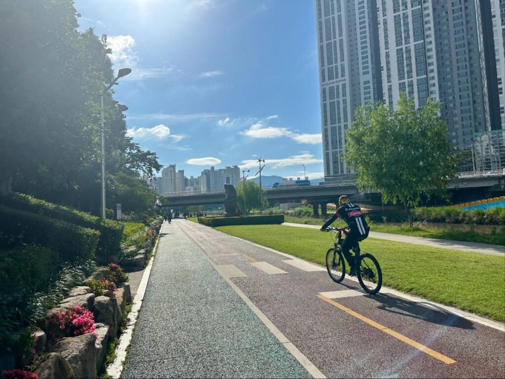A cyclist at Oncheoncheon Stream