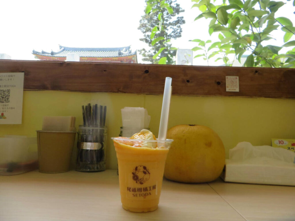 A cup of orange juice with ice cream on top