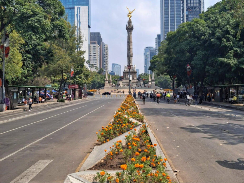 The marigolds on the center island of the road along Paseo de la Reforma