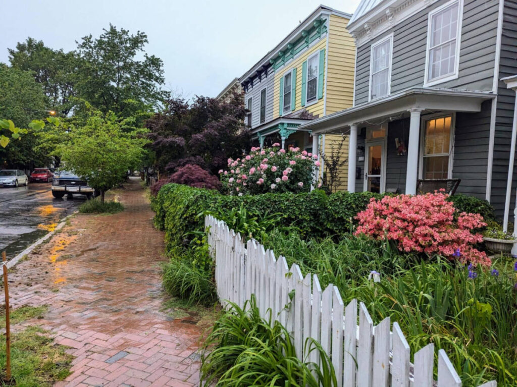 View of the lush and rainy spring day around the Oregon Hill Neighborhood